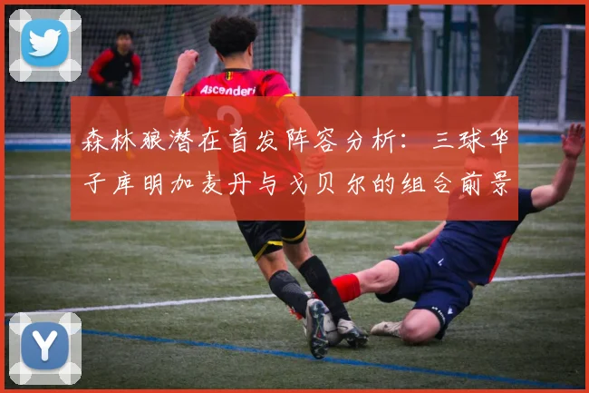 森林狼潜在首发阵容分析：三球华子库明加麦丹与戈贝尔的组合前景如何
