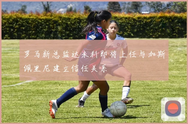 罗马新总监达米科即将上任与加斯佩里尼建立信任关系