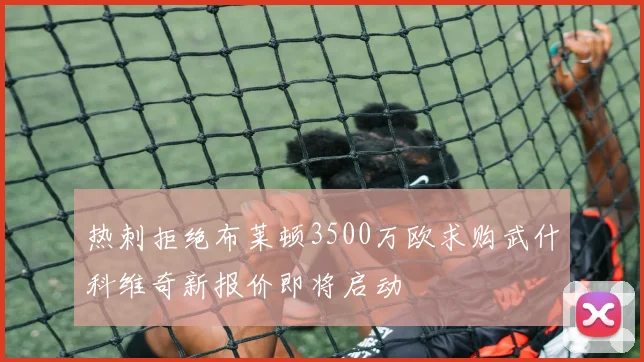 热刺拒绝布莱顿3500万欧求购武什科维奇新报价即将启动